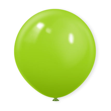 10 Pc Matte Mint Green Latex Helium, Air or Water Balloons 18" - YauSpark