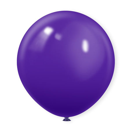 10 Pc Matte Purple Latex Helium, Air or Water Balloons 18" - YauSpark