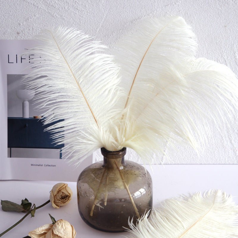 12 Pc Natural Plume Real Ostrich Feathers, DIY Centerpiece Fillers 24" - 26" Beige - YauSpark