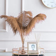 12 Pc Natural Plume Real Ostrich Feathers, DIY Centerpiece Fillers 24" - 26" Coffee - YauSpark