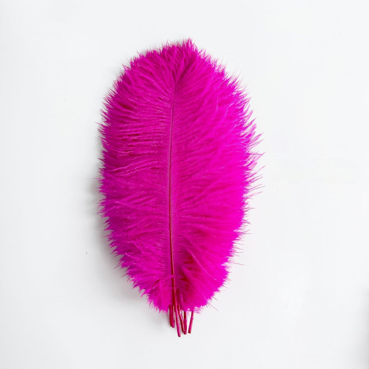 12 Pc Natural Plume Real Ostrich Feathers, DIY Centerpiece Fillers 24" - 26" Rose Red - YauSpark