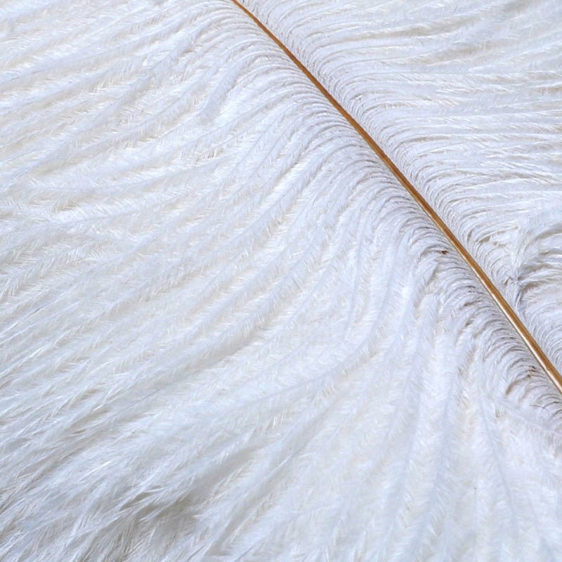 12 Pc Natural Plume Real Ostrich Feathers, DIY Centerpiece Fillers 24" - 26" White - YauSpark