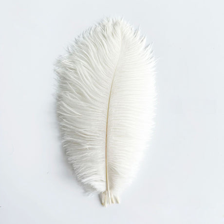 12 Pc Natural Plume Real Ostrich Feathers, DIY Centerpiece Fillers 24" - 26" White - YauSpark