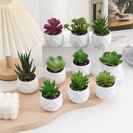 3 Pcs Mini Artificial Aloe Vera in Ceramic Pots 3” - YauSpark