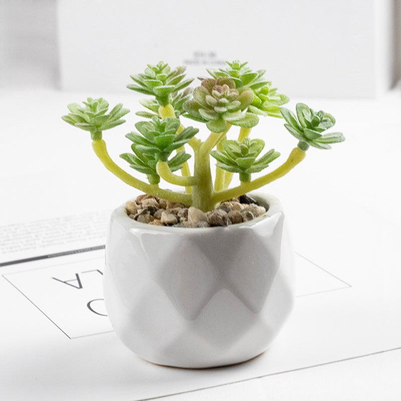 3 Pcs Mini Artificial Cerataceae in Ceramic Pots 3” - YauSpark