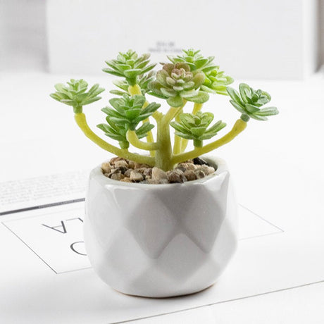 3 Pcs Mini Artificial Cerataceae in Ceramic Pots 3” - YauSpark