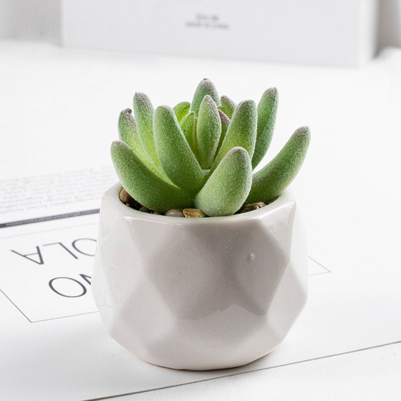 3 Pcs Mini Artificial Fairy Finger in Ceramic Pots 3” - YauSpark