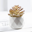 3 Pcs Mini Artificial Moon Lotus in Ceramic Pots 3” - YauSpark