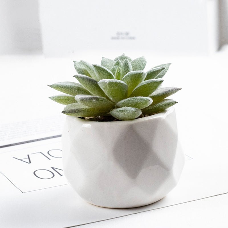 3 Pcs Mini Artificial Sharp - Horned Lotus in Ceramic Pots 3” - YauSpark