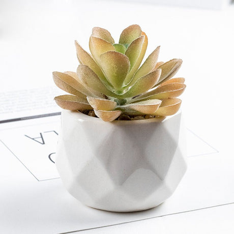 3 Pcs Mini Artificial Stone Flower in Ceramic Pots 4” - YauSpark