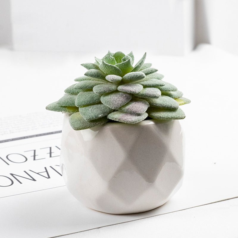 3 Pcs Mini Artificial Tata Lotus in Ceramic Pots 3” - YauSpark