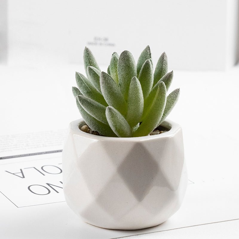 3 Pcs Mini Artificial Tianshan Snow Lotus in Ceramic Pots 3” - YauSpark