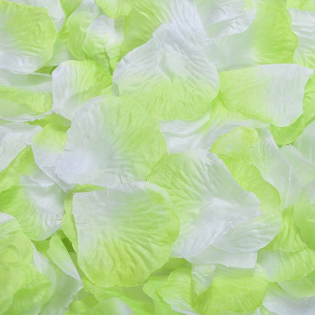 500 Pc Silk Rose Petals Confetti Light Green White Gradient - YauSpark