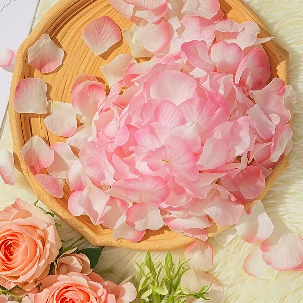 500 Pc Silk Rose Petals Confetti Pink White Gradient - YauSpark