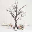 Manzanita Tree Centerpiece 34" Black with 8 Acrylic Bead Chains - YauSpark