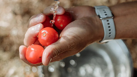 Reusable vs Traditional Water Balloons Which One Wins in 2025