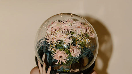 Clear Latex Balloons: Which Brand is Best?