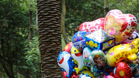 Tips for Picking the Best 260 Balloons for Professionals
