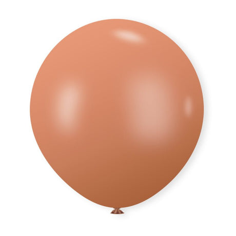 10 Pc Retro Warm Pink Latex Helium, Air or Water Balloons 18" - YauSpark