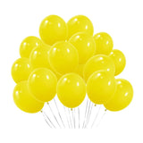 Latex balloon