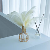 12 Pc Natural Plume Real Ostrich Feathers, DIY Centerpiece Fillers 24" - 26" Beige - YauSpark