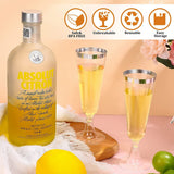 12 Pcs Plastic Champagne Flutes 5oz Clear with Silver Rim - YauSpark