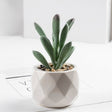 3 Pcs Mini Artificial Pepper Grass in Ceramic Pots 4” - YauSpark