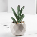 3 Pcs Mini Artificial Pepper Grass in Ceramic Pots 4” - YauSpark