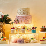 Acrylic Cake Box Stand Pedestal Riser Transparent Clear 14"x14"