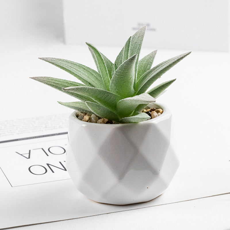 3 Pcs Mini Artificial Aloe Vera in Ceramic Pots 3”