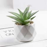 3 Pcs Mini Artificial Aloe Vera in Ceramic Pots 3”