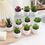 3 Pcs Mini Artificial Cerataceae in Ceramic Pots 3”