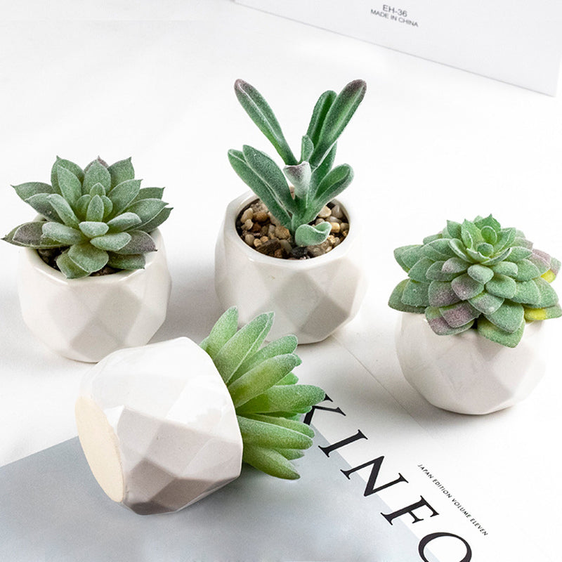 3 Pcs Mini Artificial Cerataceae in Ceramic Pots 3”