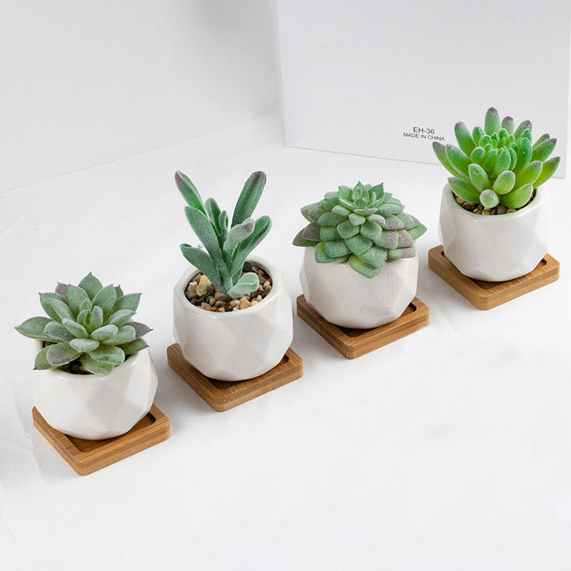 3 Pcs Mini Artificial Cerataceae in Ceramic Pots 3”