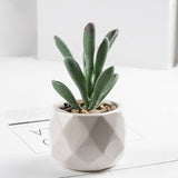 3 Pcs Mini Artificial Pepper Grass in Ceramic Pots 4”