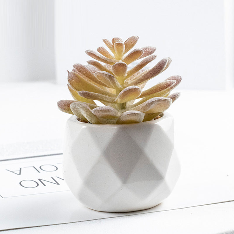 3 Pcs Mini Artificial Moon Lotus in Ceramic Pots 3”