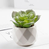 3 Pcs Mini Artificial Water Lily in Ceramic Pots 3”