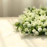 Boxwood Hedge Garden Wall Backdrop Mat 4 Artificial Panels 11 Sq ft White Tip Green