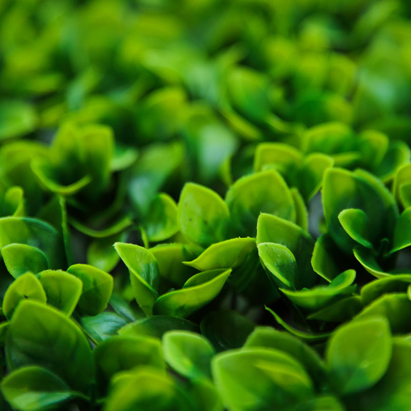 Boxwood Hedge Garden Wall Backdrop Mat 4 Artificial Panels 11 Sq ft Green