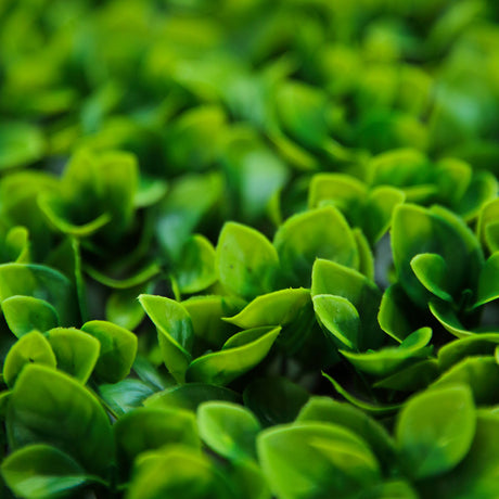 Boxwood Hedge Garden Wall Backdrop Mat 4 Artificial Panels 11 Sq ft Green