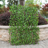 Expandable Wooden Lattice Fence With Artificial Ivy Leaf Trellis Vines, Accordion Backdrop Fencing 8"x98"