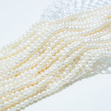Faux Pearl Beads Vase Fillers 13 Yards Beige