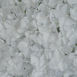 4 Pc Hydrangea Flower Wall Mat Backdrop 11 Sq ft White