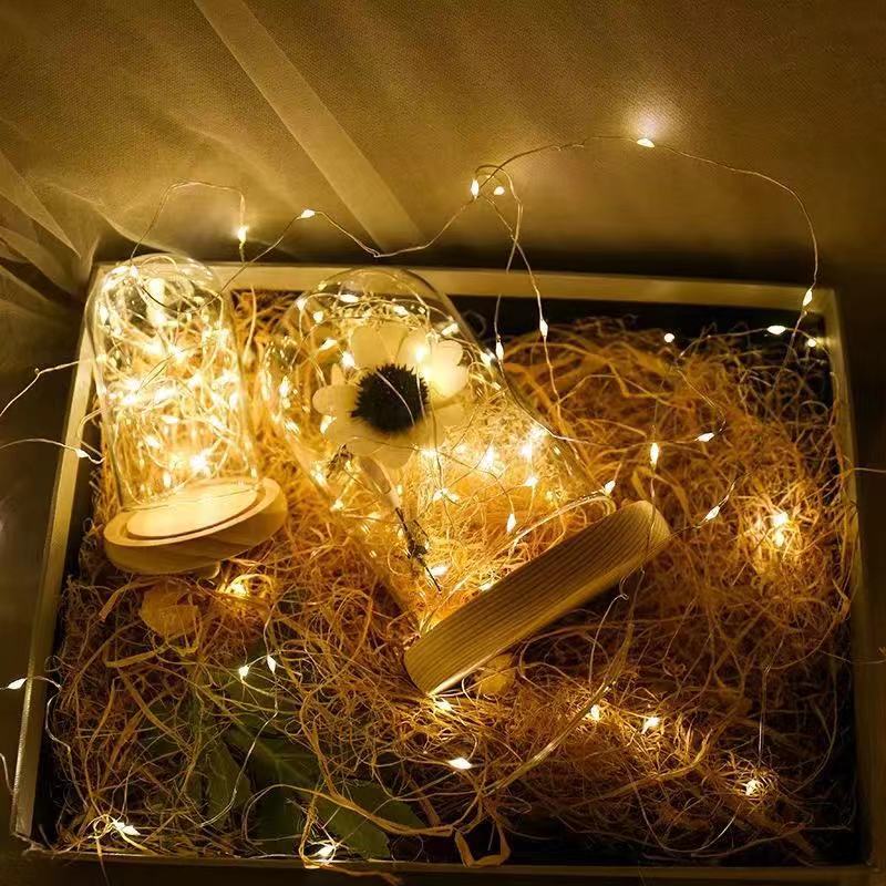 20 LED Starry Bright String Lights 90" Micro Fairy Lights Warm White - Battery Operated