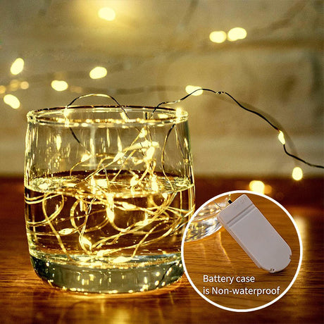 20 LED Starry Bright String Lights 90" Micro Fairy Lights Warm White - Battery Operated