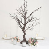 Manzanita Tree Centerpiece 34" Black with 8 Acrylic Bead Chains