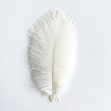 12 Pc Natural Plume Real Ostrich Feathers, DIY Centerpiece Fillers 24"-26" White