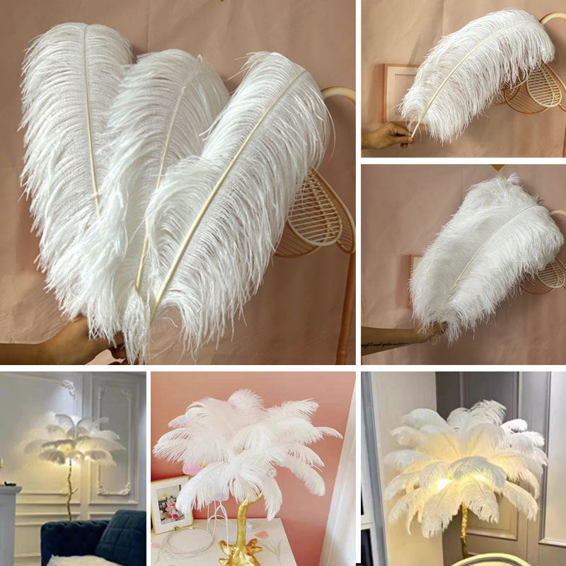 12 Pc Natural Plume Real Ostrich Feathers, DIY Centerpiece Fillers 24"-26" White