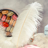 12 Pc Natural Plume Real Ostrich Feathers, DIY Centerpiece Fillers 24"-26" White