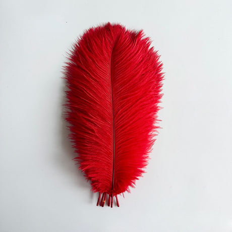 12 Pc Natural Plume Real Ostrich Feathers, DIY Centerpiece Fillers 24"-26" Red